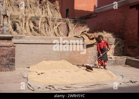 KATHMANDU, NEPAL - 6. NOVEMBER 2006: Unbekannte Frau, die Getreide auf der Straße in Kathmandu, Nepal, droschen. Stockfoto