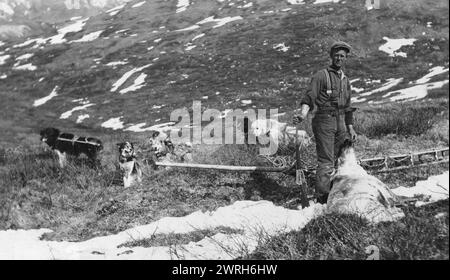 Caribou Schuss auf der Nordseite des Mt. McKinley und das Hundeteam sind bereit, das Fleisch ins Lager zu bringen, 1912. Stockfoto