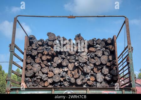 Hinter dem Blick auf die Holzkohlewälder, die auf dem LKW gestapelt sind. Stockfoto