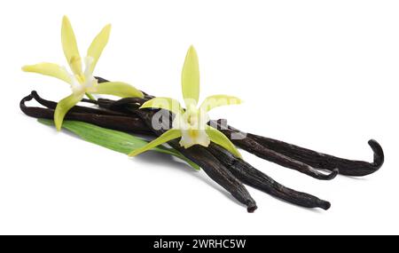 Vanilleschoten, schöne Blumen und grünes Blatt isoliert auf weiß Stockfoto