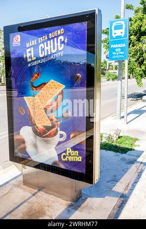 Merida Mexico, Zona Industrial Calle 20A, Schilder Informationen, Werbung für Werbemaßnahmen, Banner, Plakatwände, Gamesa Cracker, Mex Stockfoto