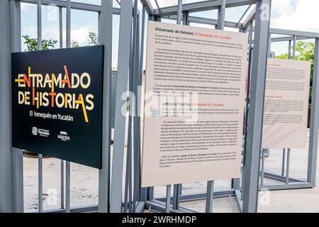 Merida Mexico, Zona Industrial, Calle 60, Mayan World Museum of Merida Gran Museo del Mundo Maya, Agave Fourcroydes henequen Fiber, Ausstellungstafeln Schild sig Stockfoto