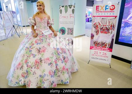 Merida Mexico, Zona Industrial Calle 20A, Centro de convenciones y exposiciones Siglo XXI Centre, Kongresszentrum, Innenausstattung, Expo Emprendedores Yu Stockfoto