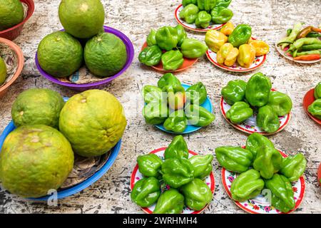 Merida Mexico, Centro Calle 56, Mercado San Benito, Mercado Municipal de Artesanias, Mercado Lucas de Galvez, produzieren saure Orangen naranja agria heißen Pfeffer Stockfoto