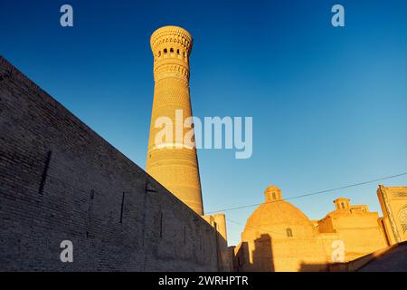 Blick auf den Kulturplatz und die kalyanische Minaretmoschee masjid Madrasah bei Sonnenuntergang in Buchara, Usbekistan Stockfoto