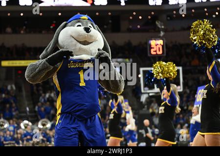 Das South Dakota State Maskottchen Jack unterhält die Zuschauer während des Herrenfinals beim Summit League Basketballturnier zwischen den Denver Pioneers und den South Dakota State Jackrabbits im Denny Sanford Premier Center in Sioux Falls, South Dakota am Dienstag, den 12. März 2024. South Dakota State besiegte Denver 76:68.Russell Hons/CSM. Stockfoto