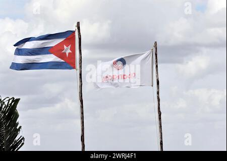 Die kubanische Flagge und eine andere winkt im Wind vor einem bewölkten Himmel, Parque Natural Cienaga de Zapata, Zapata Halbinsel, Kuba, Zentralamerika Stockfoto