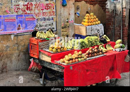 Farbenfroher Obststand mit verschiedenen Früchten an einer Straßenecke, Varanasi, Uttar Pradesh, Indien Stockfoto