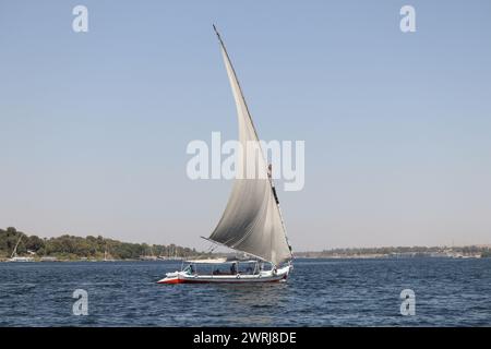 Traditionelles Felukenboot, das auf dem nil segelt Stockfoto