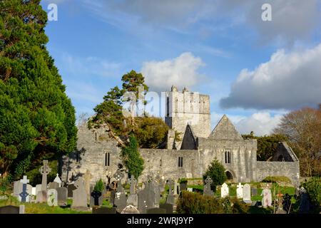 Die gotischen Bauruinen der Muckross Abbey und der alte Friedhof im Killarney National Park, County Kerry, Irland Stockfoto