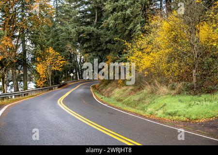 Landschaft mit einer wunderschönen, verwinkelten, engen Straße, die durch einen Herbstwald mit vergilbten Bäumen und gefallenen Kiefernnadeln in der Columbia Gorge National führt Stockfoto