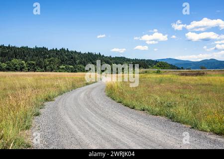 Landschaft mit einer wunderschönen, kurvenreichen Schotterstraße, die mit feinem Kies übersät ist und durch eine Wiese führt und sich in einen Hügel mit grünen Wäldern versenkt Stockfoto