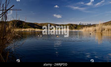 Ankara Eymir See. Blick auf den See mit Schilf. Wolken, die von der Seenoberfläche reflektiert werden. Blick auf den blauen Himmel und den See. Trockene Äste und See. Stockfoto