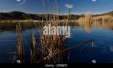 Ankara Eymir See. Blick auf den See mit Schilf. Wolken, die von der Seenoberfläche reflektiert werden. Blick auf den blauen Himmel und den See. Trockene Äste und See. Stockfoto