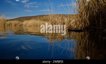 Ankara Eymir See. Blick auf den See mit Schilf. Wolken, die von der Seenoberfläche reflektiert werden. Blick auf den blauen Himmel und den See. Trockene Äste und See. Stockfoto