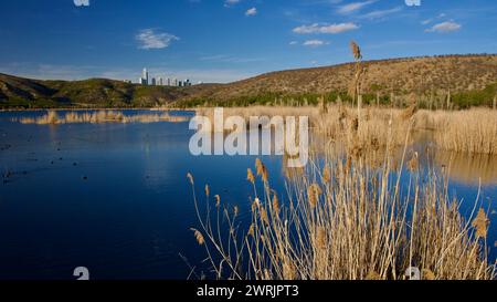 Ankara Eymir See. Blick auf den See mit Schilf. Wolken, die von der Seenoberfläche reflektiert werden. Blick auf den blauen Himmel und den See. Trockene Äste und See. Stockfoto