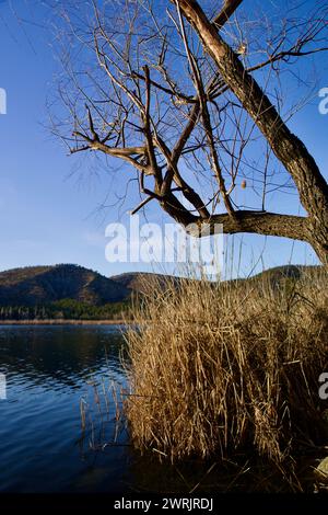 Ankara Eymir See. Blick auf den See mit Schilf. Wolken, die von der Seenoberfläche reflektiert werden. Blick auf den blauen Himmel und den See. Trockene Äste und See. Stockfoto