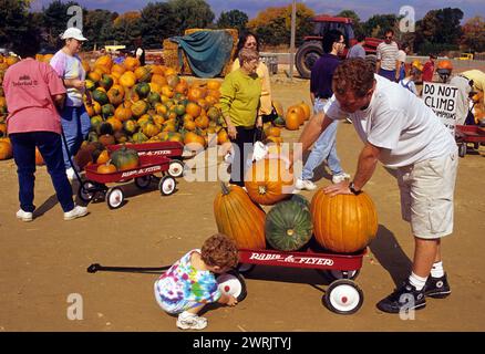 usa New england, die Landwirtschaftsfarm, die halloween bettelt Stockfoto