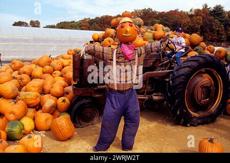 usa New england, die Landwirtschaftsfarm, die halloween bettelt Stockfoto