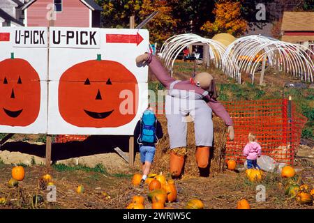 usa New england, die Landwirtschaftsfarm, die halloween bettelt Stockfoto