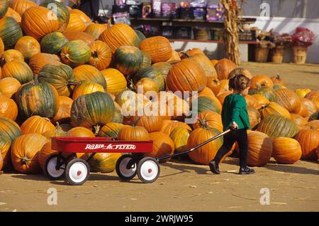 usa New england, die Landwirtschaftsfarm, die halloween bettelt Stockfoto