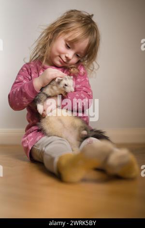 Das kleine Mädchen kümmert sich um das weibliche Haustier des erwachsenen Frettchens Stockfoto