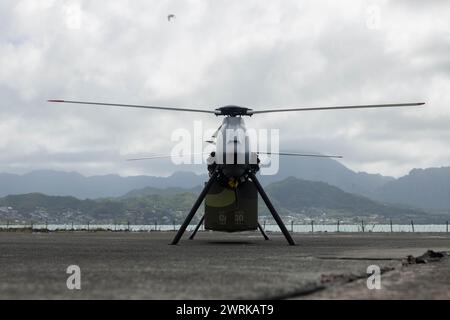 Das Avidrone Aerospace Team bereitet sich auf den Start eines ferngesteuerten Flugzeugsystems auf der Marine Corps Air Station Kaneohe Bay, Hawaii, am 7. März 2024 vor. Stockfoto