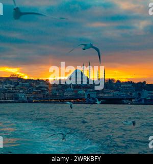 Istanbul Hintergrund quadratisches Foto. Moschee und Möwen bei Sonnenuntergang. Besuchen Sie Istanbul Concept. Stockfoto