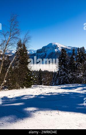 Sommet du Chamechaude, Point culminant du parc naturel régional de Chartreuse, recouvert de neige au dessus d’une mer de nuages depuis le Charmant Som Stockfoto