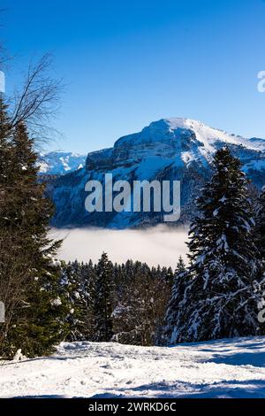 Sommet du Chamechaude, Point culminant du parc naturel régional de Chartreuse, recouvert de neige au dessus d’une mer de nuages depuis le Charmant Som Stockfoto