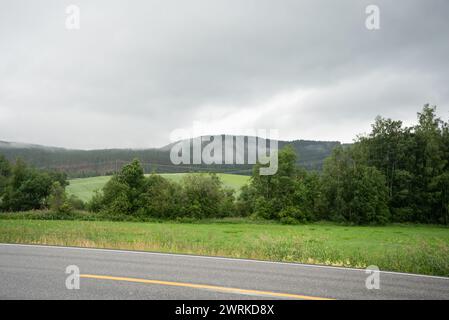 Wunderschöne Naturlandschaft in Norwegen mit Bergen bedeckt mit Nebel und grünen Nadelbäumen an einem bewölkten Tag mit einem grünen Feld mit Stromanschlüssen Stockfoto