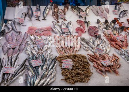 Fischstand auf dem Kapani-Markt in Thessaloniki, Griechenland Stockfoto