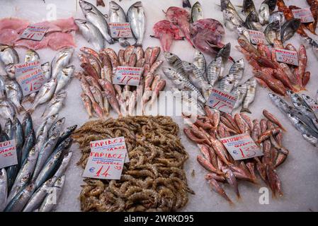 Fischstand auf dem Kapani-Markt in Thessaloniki, Griechenland Stockfoto