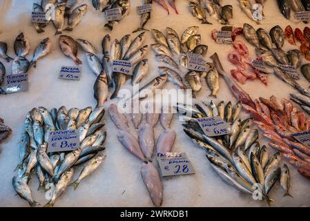 Fischstand auf dem Kapani-Markt in Thessaloniki, Griechenland Stockfoto