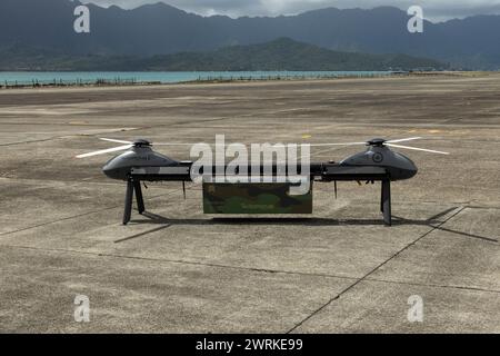 Das Avidrone Aerospace-Team bereitet sich auf den Start eines ferngesteuerten Flugzeugsystems auf der Marine Corps Air Station Kaneohe Bay auf Hawaii vor Stockfoto