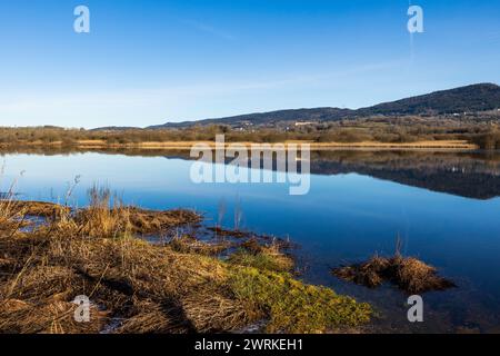 Etang des Lésines et Marais de Vaux sur le Plateau d’Hauteville en hiver Stockfoto