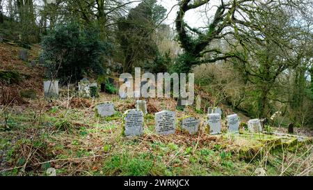 Der Friedhof in Minster Church, Boscastle, Cornwall, Großbritannien - John Gollop Stockfoto