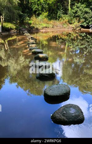 Treppensteine überqueren den Harbourne River, bevor sie in den Bow Creek und die Dart Mündung in South Devon, England, Großbritannien, gelangen. Teil des John Musgrave Heritage Trail. Stockfoto