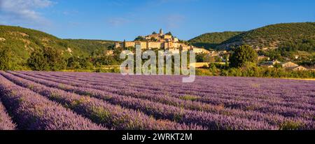 Das Dorf Banon in der Provence mit Lavendelfeldern im Sommer. Panoramablick am Morgen in Alpes-de-Haute-Provence, Französische Alpen, Frankreich Stockfoto