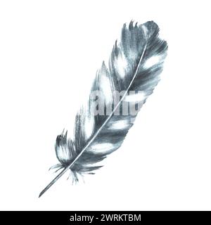 Aquarell monochrome Vogelfeder grau schwarz mit Granulierung von Schattierungen und natürlichen Ornamenten. Handgezeichnete Illustration von echten Flügeln. Clipart für Stockfoto