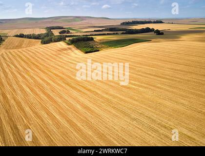 Blick aus der Vogelperspektive auf altes Ackerland im Herzen von Wiltshire, Südwesten Englands, bereit für die Ernte Stockfoto