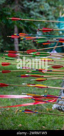 Erfolgreiches Konzept, alle Goldpfeile auf Ziel, Bogenschießen-Sport. Stockfoto