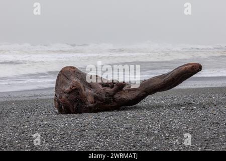 Am Strand liegt ein großer Baumstamm mit dem Meer im Hintergrund. Das Bild hat eine ruhige und friedliche Stimmung, da nur der Holzblock sichtbar ist Stockfoto