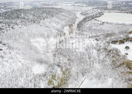 Aus der Vogelperspektive fängt die ruhige Schönheit eines Eichenwaldes ein, der von frischem Schnee bedeckt ist, mit einem mäandernden Pfad, der durch die winterliche Landschaft führt Stockfoto