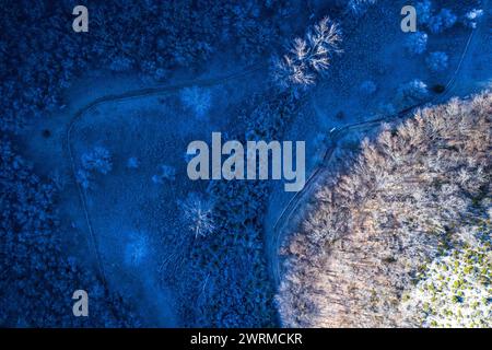 Ein Luftbild fängt den starken Kontrast zwischen einem frostgeküssten Wald und einem dunklen, gewundenen Pfad ein, der sich in der Abenddämmerung durch die Landschaft zieht. Stockfoto