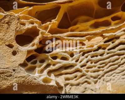 Nahaufnahme der erodierten Sandsteinformationen in Jaizkibel in Gipuzkoa, mit einzigartigen Mustern und warmen Farbtönen. Stockfoto