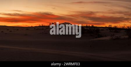 Ruhiger Sonnenuntergang über den Sanddünen von Fuerteventura, mit Bergen, die sich vor dem pulsierenden Himmel abzeichnen. Stockfoto
