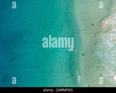 Dieses Bild der Drohne fängt eine ruhige Szene ein, in der Individuen im kristallklaren Wasser entlang der wunderschönen Küste von Fuerteventura schwimmen. Stockfoto