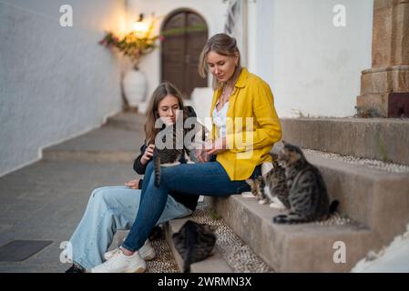 Zwei Mädchen füttern Katzen auf der Straße. Stockfoto