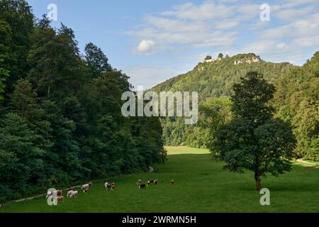 Panoramaaufnahme von Schafen, die auf den grünen Wiesen mit Bergen im Hintergrund weiden. Dramatischer Blick aus der Vogelperspektive auf idyllisches Flickenteppichland Stockfoto